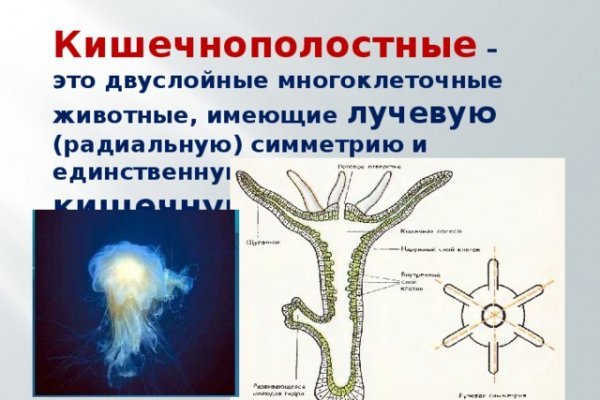 Как положить деньги на кракен