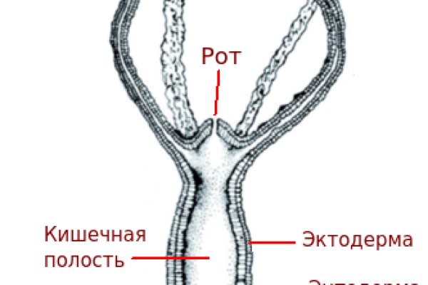 Официальный сайт даркнета