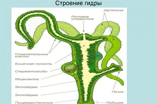 Кракен зеркало на сегодня