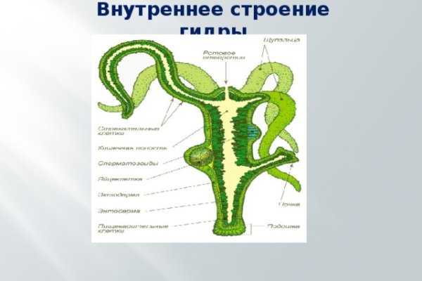 Взломали аккаунт кракен